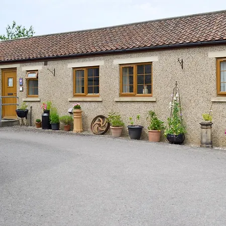 Swallowtail - Uk2296